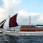 Lady-Denok-Liveaboard-Indonesia-Koonam-q
