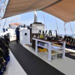 Seahorse-Liveaboard-Indonesia-Koonam-d