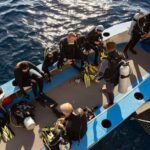 Seahorse-Liveaboard-Indonesia-Koonam-i