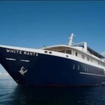 White-Manta-Liveaboard-Indonesia-Koonam-s