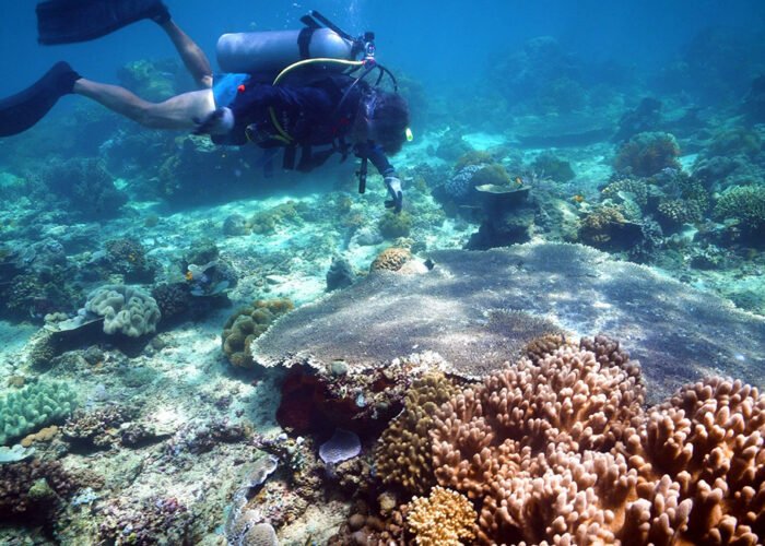 Expansion-of-Dive-Tourism-Infrastructure-a